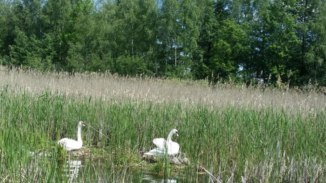 Domek Mazury - Jezioro 오지시 외부 사진